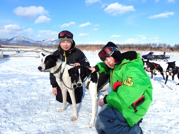 《十勝の大雪原で　本格犬ぞり・マッシャー体験》　半日ベーシック　◆ツアー写真付き！