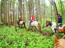 【湖と森のお散歩コース】　馬のお世話から体験！屈斜路の自然と湖畔トレッキングも楽しめる